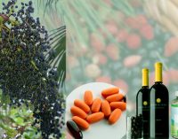 How Acai Berry Operates For Body Weight Loss