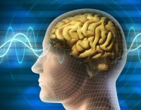 Top 5 Tips To Get Rid From Tinnitus And Depression